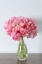 Beautiful bouquet of pink peonies in vase on wooden table against white background Royalty Free Stock Photo