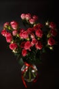 Beautiful bouquet of pink red roses bushes with water drops on a black background. Selective focus, close-up Royalty Free Stock Photo