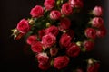 Beautiful bouquet of pink red roses bushes with water drops on a black background. Selective focus, close-up Royalty Free Stock Photo