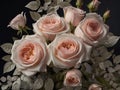 beautiful bouquet of pink roses on a black background