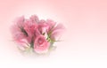 Beautiful bouquet of pink roses flower, soft tone Royalty Free Stock Photo