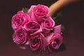 Beautiful bouquet of pink roses in hand on a dark background. Gift for Valentine`s Day, Women`s day Royalty Free Stock Photo