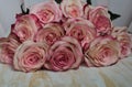 A bouquet of pink roses lies on a wooden surface. Royalty Free Stock Photo