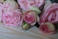 A beautiful bouquet of pink roses lies on a wooden surface. Royalty Free Stock Photo