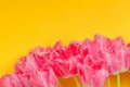 Beautiful bouquet of pink tulips flowers on yellow background. Card for Mothers day, 8 March, Happy Easter Royalty Free Stock Photo
