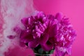 Beautiful bouquet of pink and white Peonies. Floral spring seasonal wallpaper. Close up photography softfocused peony. Royalty Free Stock Photo