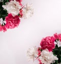 Beautiful bouquet of pink and white Peonies. Floral spring seasonal wallpaper. Close up photography softfocused peony. Royalty Free Stock Photo