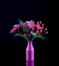 Beautiful bouquet of purple Eucalyptus flowers and buds in a purple bottle Royalty Free Stock Photo