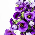 Beautiful Bouquet of Purple Eustoma flowers, Lisianthus