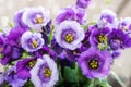 Beautiful Bouquet of Purple Eustoma flowers, Lisianthus