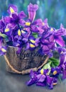 Beautiful bouquet of a purple irises