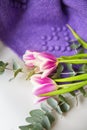 Beautiful bouquet of purple tulips with eucalyptus on a white chair along with a purple sweater. Spring mood, 8 March. Postcard