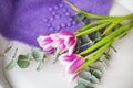 Beautiful bouquet of purple tulips with eucalyptus on a white chair along with a purple sweater. Spring mood, 8 March. Postcard