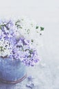 Beautiful bouquet of purple and white lilacs on grey background Royalty Free Stock Photo