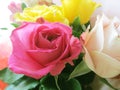 Beautiful bouquet of real roses. Floral background of colorful flowers.