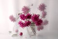 Beautiful bouquet of red Dahlias in a vase on a transparent background . Royalty Free Stock Photo