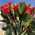 Beautiful red Roses, and Carnations in bouquet Royalty Free Stock Photo