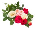 A beautiful bouquet of red flowers roses isolated on white background Royalty Free Stock Photo