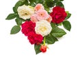 A beautiful bouquet of red flowers roses isolated on white background Royalty Free Stock Photo