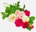 A beautiful bouquet of red flowers roses isolated on white background Royalty Free Stock Photo