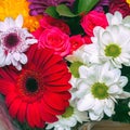 A beautiful bouquet of red gerberas, white chrysanthemums and red roses Royalty Free Stock Photo