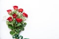 Beautiful bouquet of red roses and baby`s breath white flowers isolated on a white background, top view with copy space Royalty Free Stock Photo