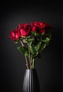 Beautiful bouquet of red roses in a black vase. Black background. Close-up. Vertical format Royalty Free Stock Photo