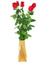 Beautiful bouquet of red roses . Isolated.