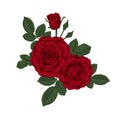 Beautiful bouquet with red roses and leaves. Floral arrangement.