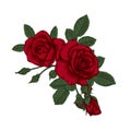 Beautiful bouquet with red roses and leaves. Floral arrangement.