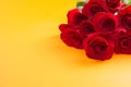 Beautiful bouquet of red roses lies on a orange background. Young red roses are very fragrant. Dutch flowers are popular Royalty Free Stock Photo