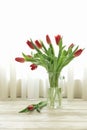 Beautiful bouquet of red tulips in a vase on the white wooden table by the window with white curtains Royalty Free Stock Photo