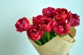 Beautiful bouquet of red tulips Royalty Free Stock Photo