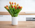 A beautiful bouquet of red and yellow tulips in a white vase on a wooden countertop against a white kitchen background. Spring Royalty Free Stock Photo