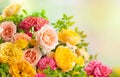 Beautiful bouquet of roses. Colorful flowers festive background.Floral concept