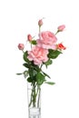 Beautiful bouquet of roses in a glass vase Royalty Free Stock Photo