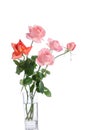 Beautiful bouquet of roses in a glass vase Royalty Free Stock Photo