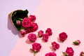 Scattering roses lying on a beautiful surface