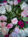 Beautiful bouquet of roses of three flowers close-up white pink bard Royalty Free Stock Photo