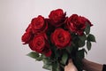 Beautiful bouquet of scarlet roses in hands on a white background. Generative AI