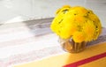 Beautiful bouquet of spring dandelions in a bright room. A closeup of dandelions in a luxurious bouquet. hard shadows