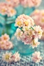 Beautiful bouquet of a spring flowers.Pink Kalanchoe flowers on the table.