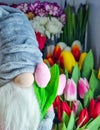 beautiful bouquet of spring flowers, toy nisse gnome with tulips, dwarf in grey hat