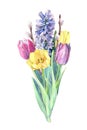 Beautiful bouquet of spring flowers - tulips, willow branches and hyacinth.