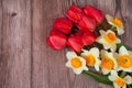 Beautiful bouquet of spring tulips and daffodils close-up on a wooden background. Royalty Free Stock Photo