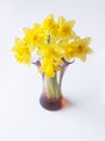 Beautiful bouquet of yellow narcisus flowers in a glass vase. Royalty Free Stock Photo