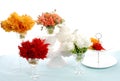 Beautiful bouquet in studio Royalty Free Stock Photo