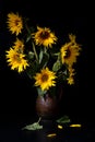 Beautiful bouquet of sunflowers in vase on a black table over black background Royalty Free Stock Photo