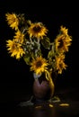 Beautiful bouquet of sunflowers in vase on a black table over black background Royalty Free Stock Photo