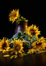 Beautiful bouquet of sunflowers in vase on a black table over black background Royalty Free Stock Photo